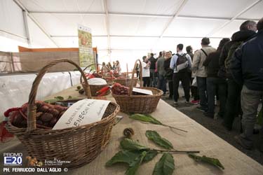 246_2014_010596_Festa_Del_Marrone_0496
