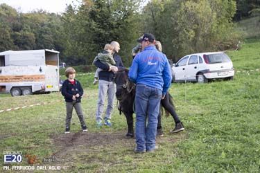 396_2014_010746_Festa_Del_Marrone_0646