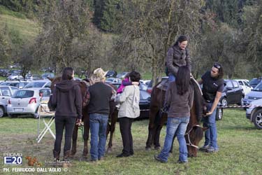 400_2014_010750_Festa_Del_Marrone_0650
