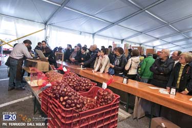 421_2014_010771_Festa_Del_Marrone_0671