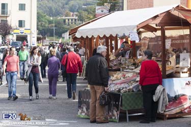 604_2014_010185_Festa_Del_Marrone_0085
