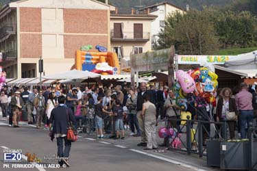 683_2014_010268_Festa_Del_Marrone_0168