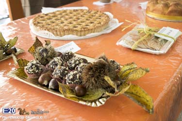 809_2014_011409_Festa_Del_Marrone_0809