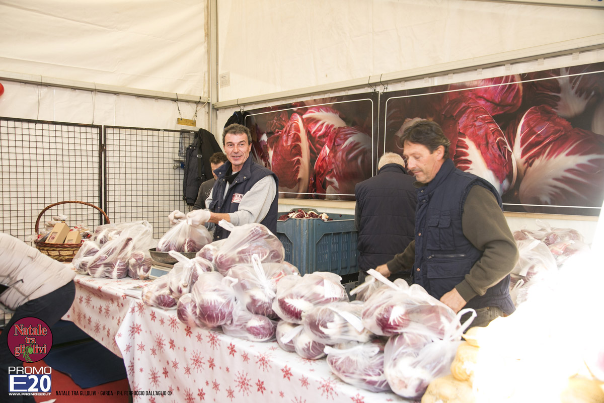 2015_012585_Natale_tra_gli_olivi