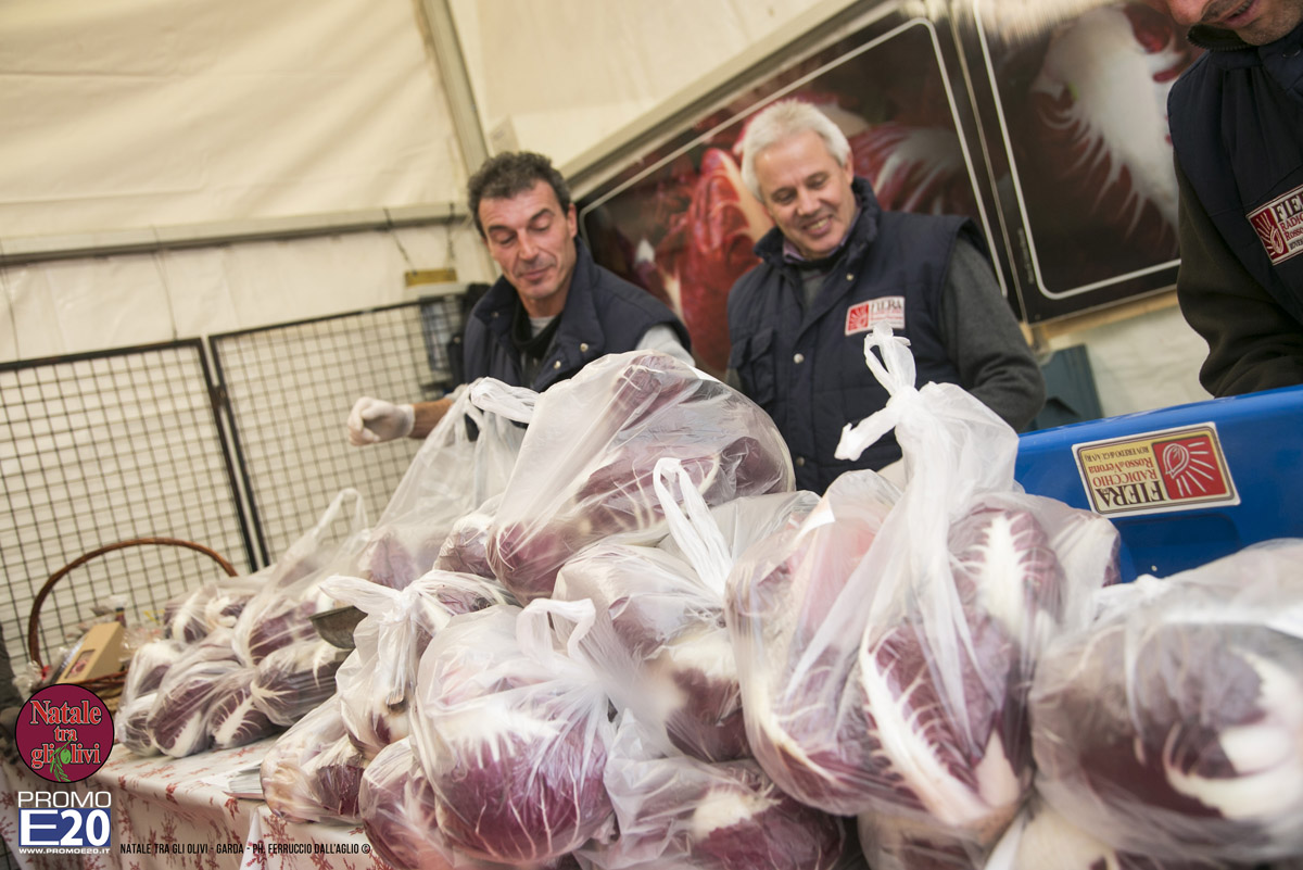 2015_012592_Natale_tra_gli_olivi