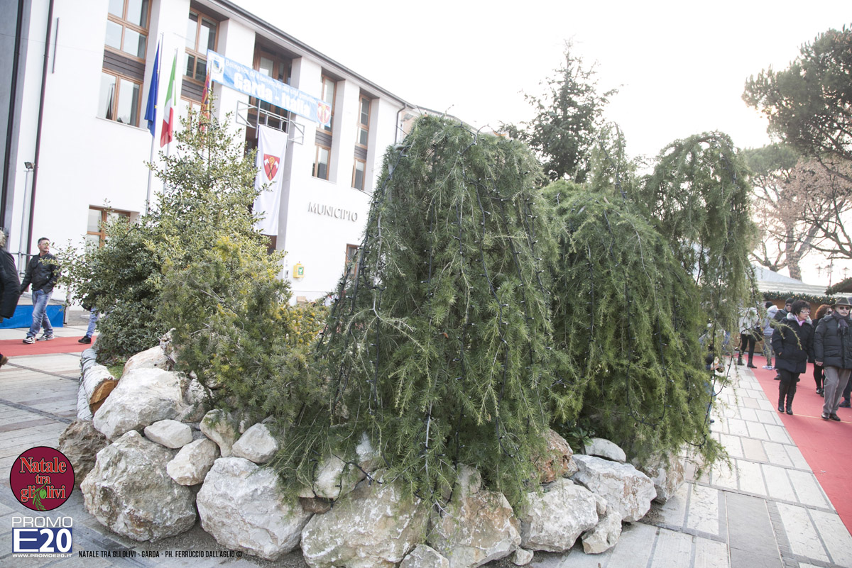 2015_012613_Natale_tra_gli_olivi