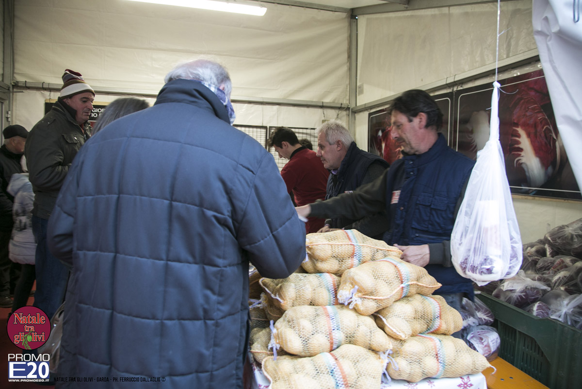 2015_012615_Natale_tra_gli_olivi