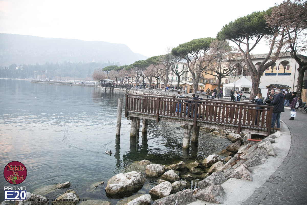 2015_012623_Natale_tra_gli_olivi