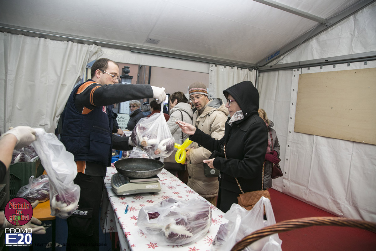 2015_012630_Natale_tra_gli_olivi