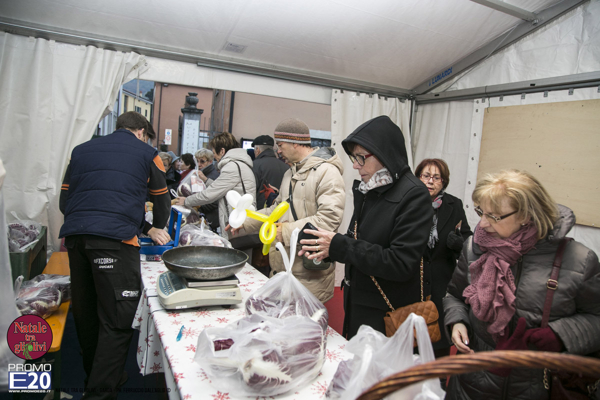 2015_012631_Natale_tra_gli_olivi