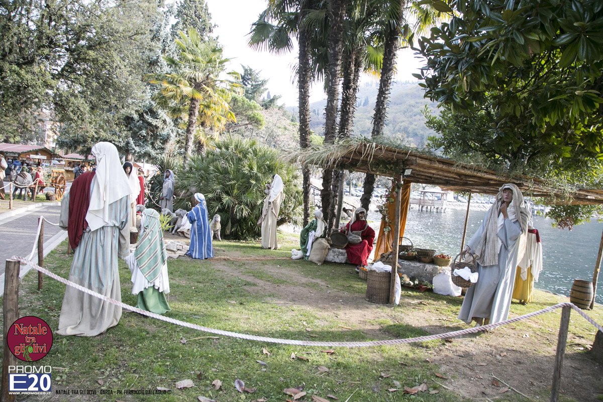 2015_012645_Natale_tra_gli_olivi
