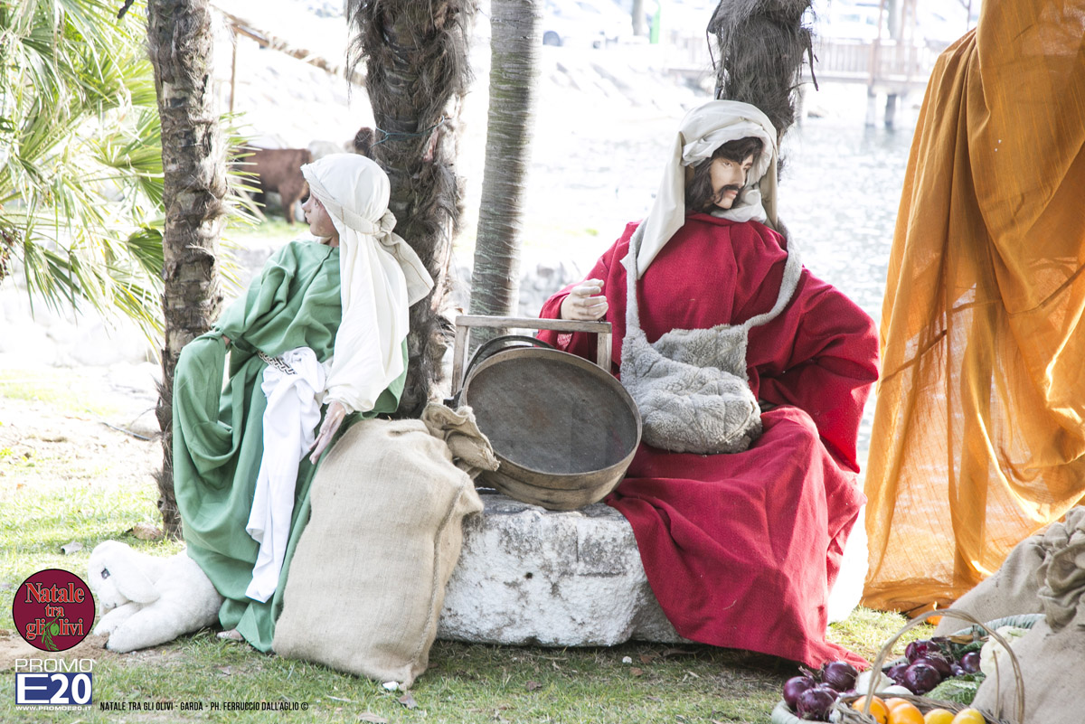 2015_012646_Natale_tra_gli_olivi