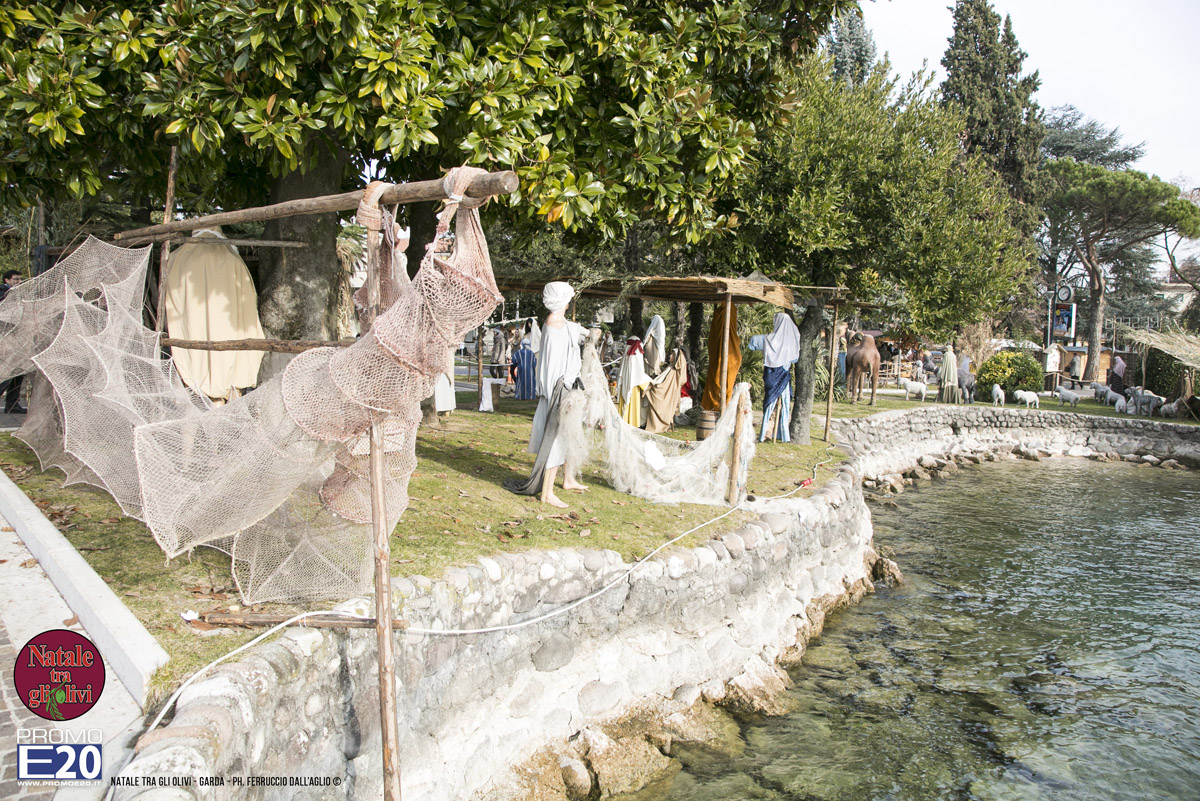 2015_012648_Natale_tra_gli_olivi