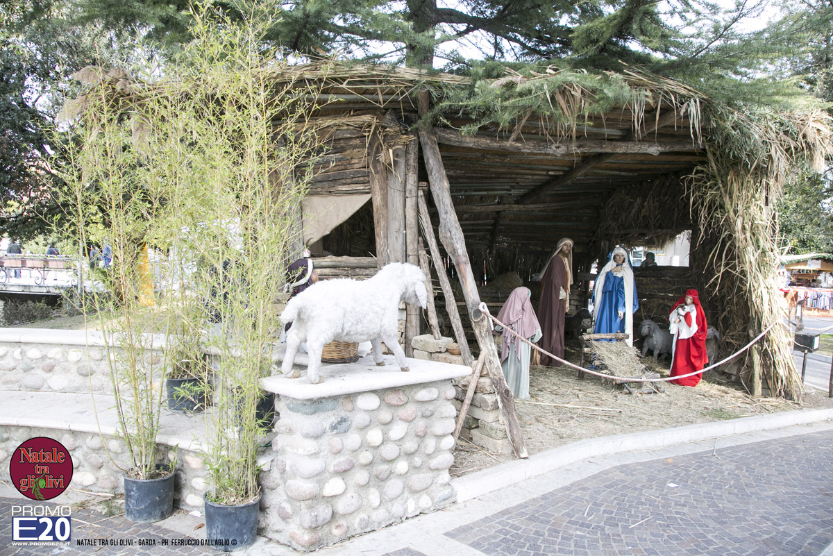 2015_012650_Natale_tra_gli_olivi