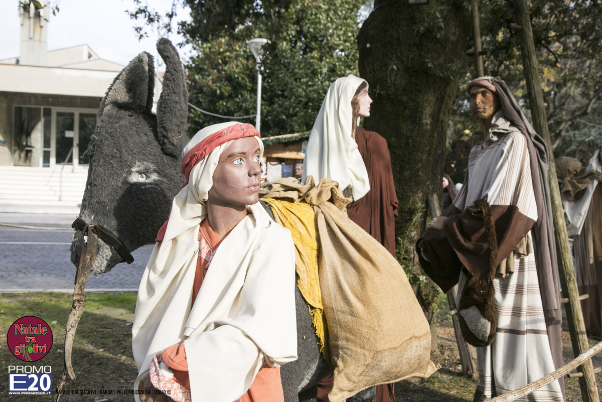 2015_012653_Natale_tra_gli_olivi