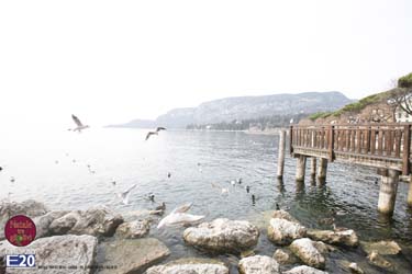 2015_012562_Natale_tra_gli_olivi