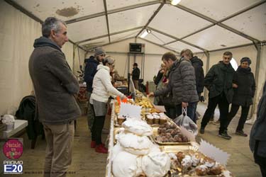 2015_012565_Natale_tra_gli_olivi