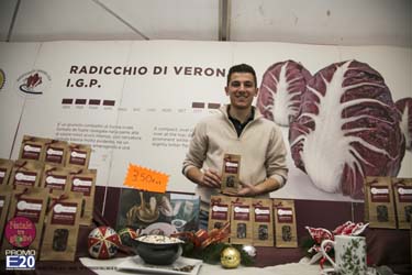 2015_012578_Natale_tra_gli_olivi