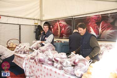 2015_012585_Natale_tra_gli_olivi