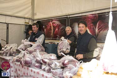 2015_012586_Natale_tra_gli_olivi