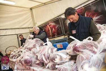 2015_012593_Natale_tra_gli_olivi