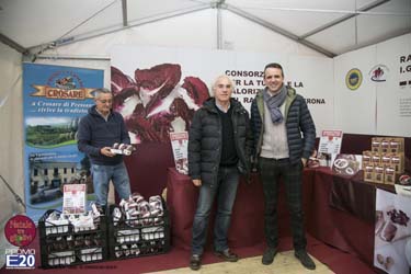 2015_012594_Natale_tra_gli_olivi