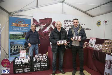 2015_012595_Natale_tra_gli_olivi