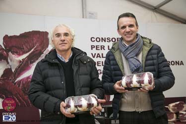 2015_012596_Natale_tra_gli_olivi