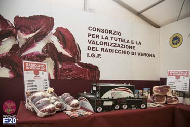 2015_012598_Natale_tra_gli_olivi