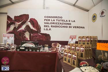 2015_012599_Natale_tra_gli_olivi