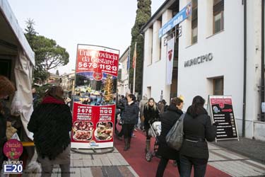 2015_012604_Natale_tra_gli_olivi
