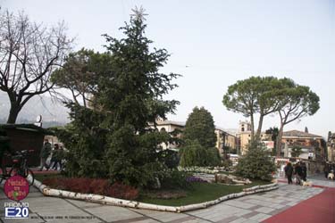 2015_012606_Natale_tra_gli_olivi