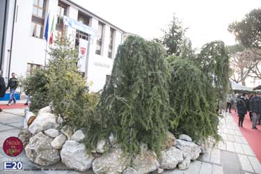 2015_012613_Natale_tra_gli_olivi