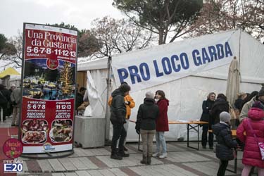 2015_012626_Natale_tra_gli_olivi