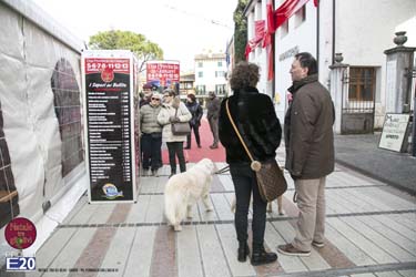 2015_012633_Natale_tra_gli_olivi