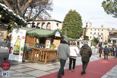 2015_012634_Natale_tra_gli_olivi