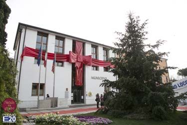 2015_012640_Natale_tra_gli_olivi