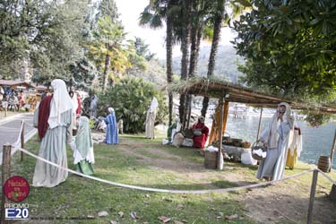 2015_012645_Natale_tra_gli_olivi