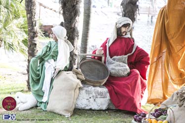 2015_012646_Natale_tra_gli_olivi