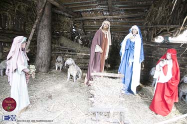 2015_012651_Natale_tra_gli_olivi