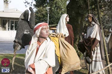 2015_012653_Natale_tra_gli_olivi