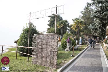 2015_012655_Natale_tra_gli_olivi
