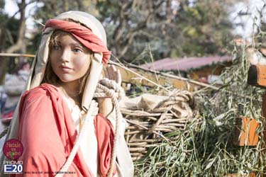 2015_012656_Natale_tra_gli_olivi