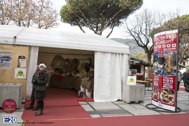 2015_012658_Natale_tra_gli_olivi