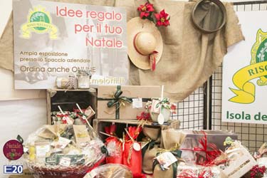 2015_012667_Natale_tra_gli_olivi
