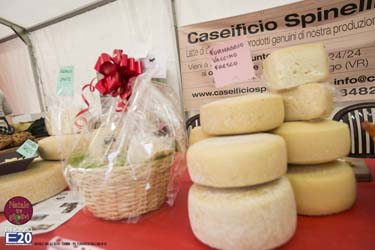 2015_012697_Natale_tra_gli_olivi