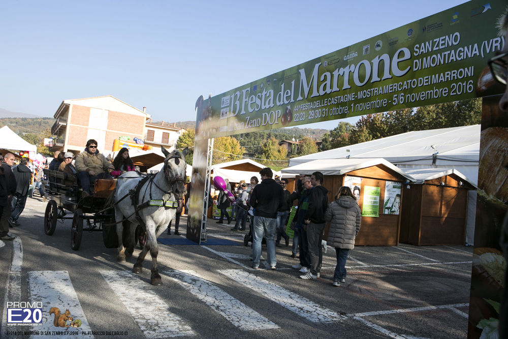 2016_008912_Festa_del_marrone_2016