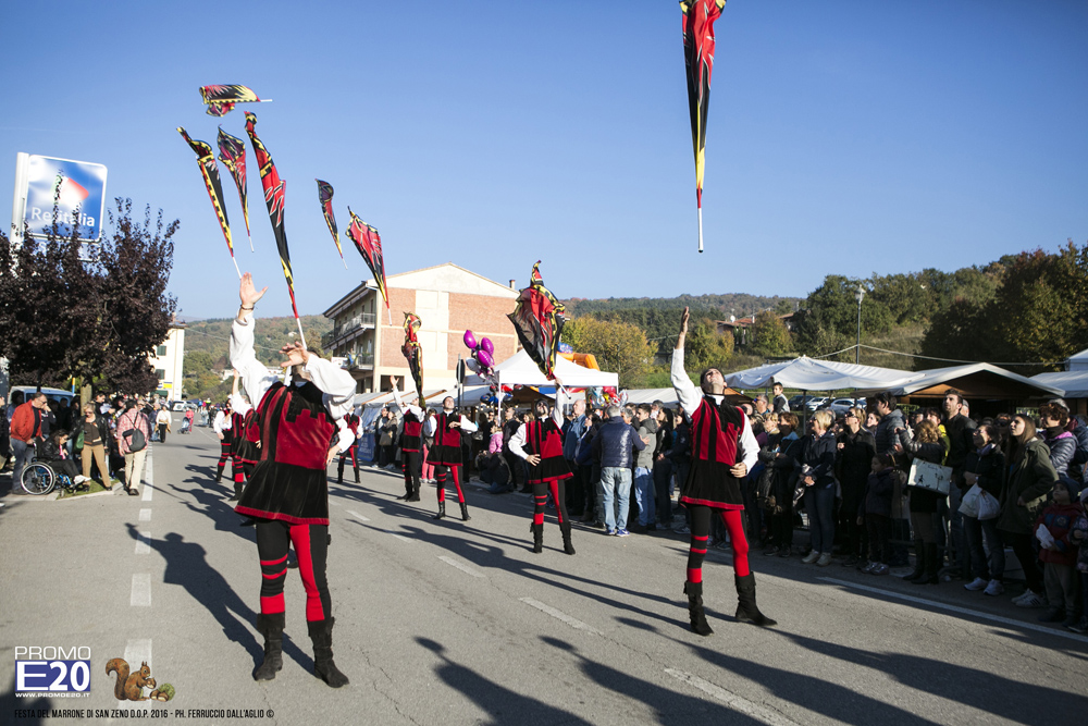 2016_008999_Festa_del_marrone_2016