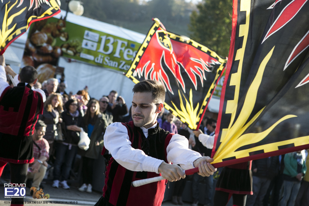 2016_009005_Festa_del_marrone_2016