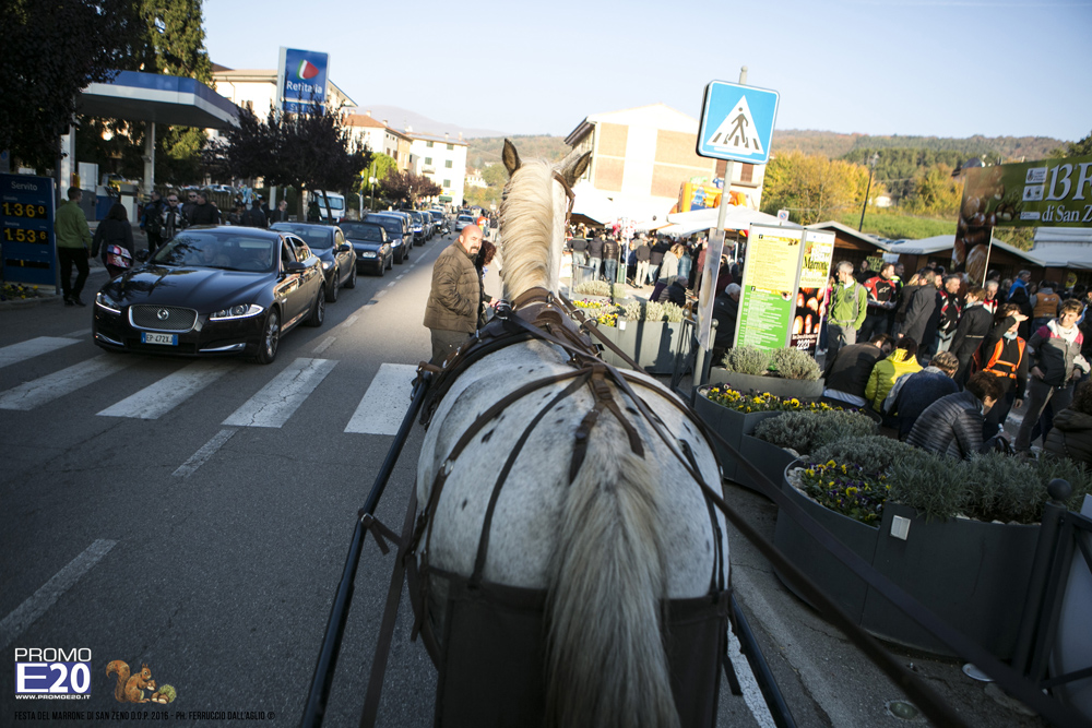 2016_009089_Festa_del_marrone_2016